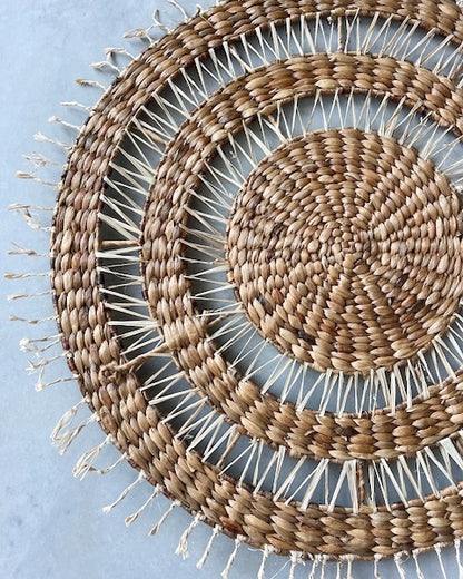 Spiral Water Hyacinth Wall Decor - XL, L sizes